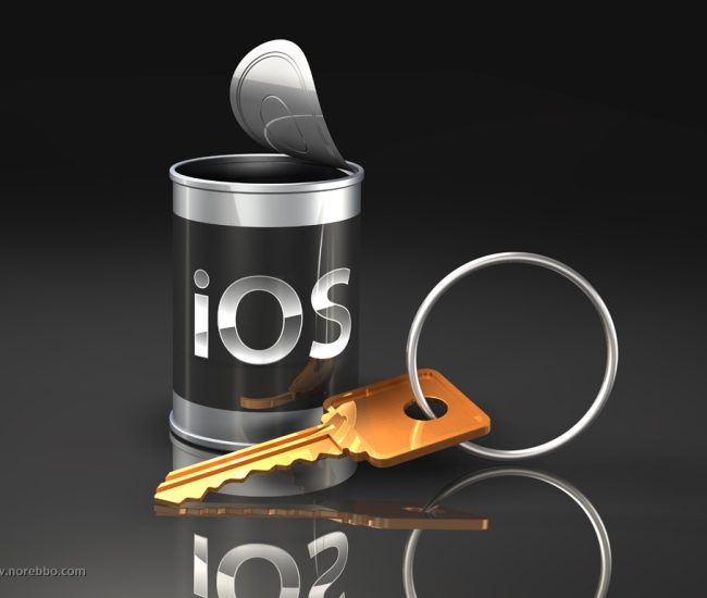 WhatsApp Image 2023-07-11 at 3.06.31 AM